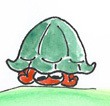 schildkroete