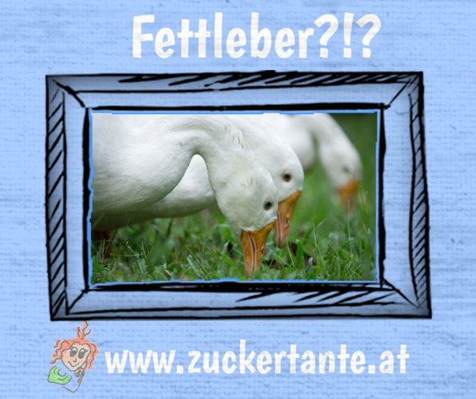 Fettleber