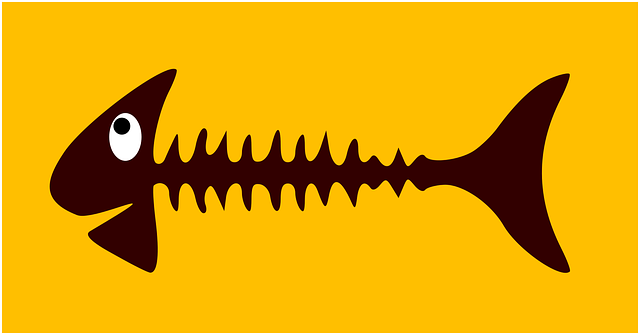 bone-1295618_640 Knochen