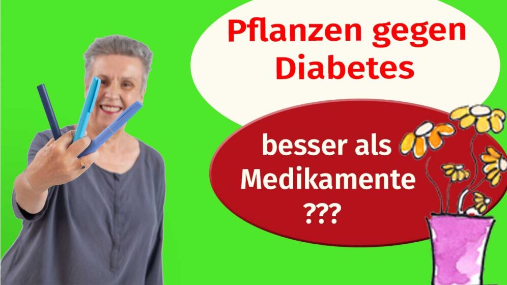 Titelbild Pflanzen-nahrungs-Ergänzungs-Mittel bei Diabetes
